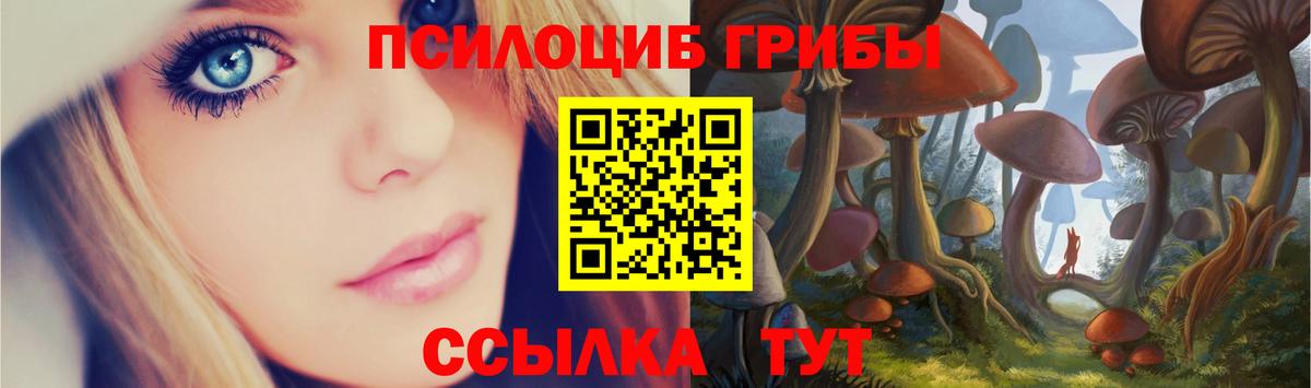 Волгоград  Галлюциногенные грибы MAGIC MUSHROOMS  Вход с VPN 